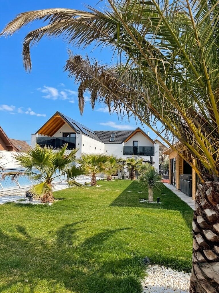 A modern villa és a medence a gondozott pálmafás kertből nézve