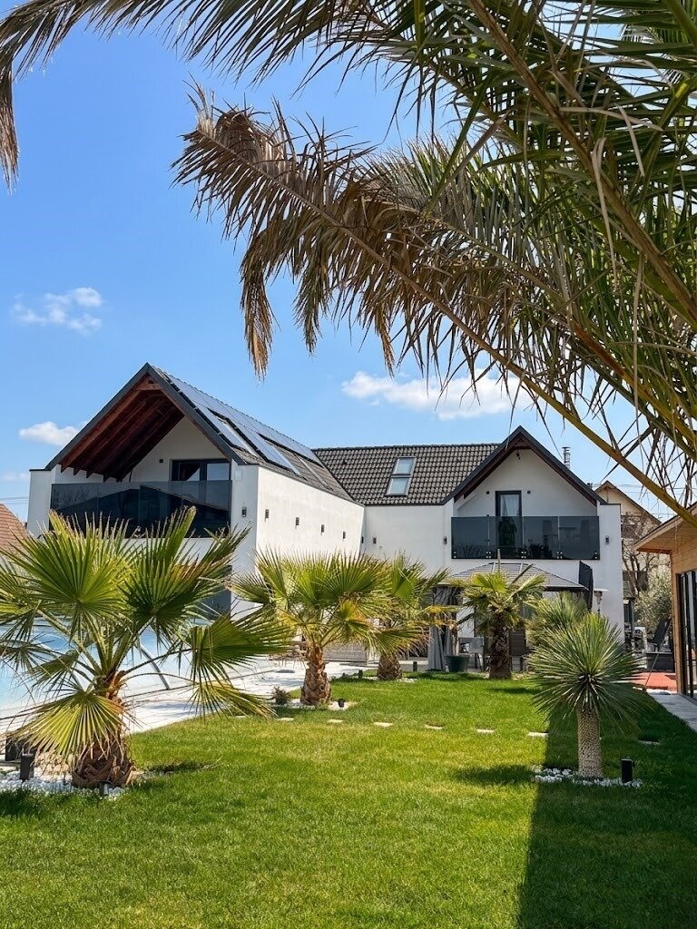 A XV. kerületi luxusvilla napfényes homlokzata, pálmafás kertje és úszómedencéje