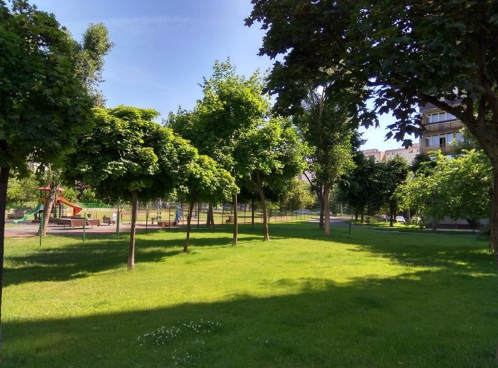 Napfényes, gondozott park játszótérrel a környéken