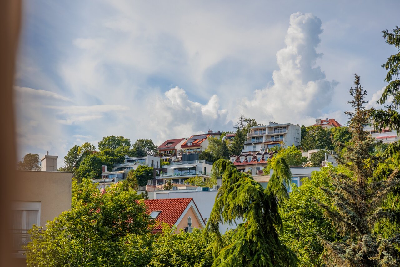 Panorámás kilátás a domboldalra, zöldövezetre