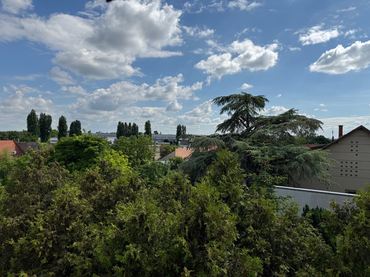 Eladó lakás Kispest kertváros - zöldövezeti panoráma az ablakból